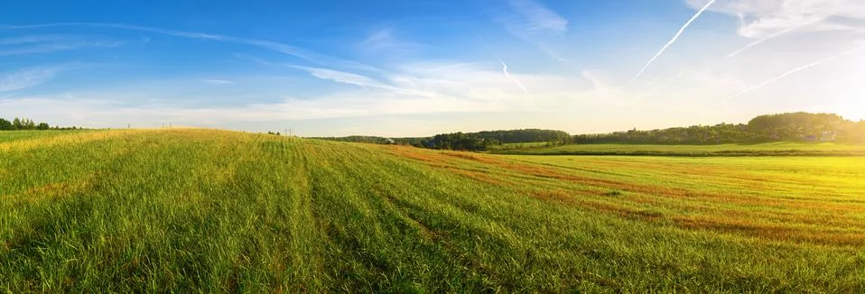 Panoramic summer landscape Foto stock