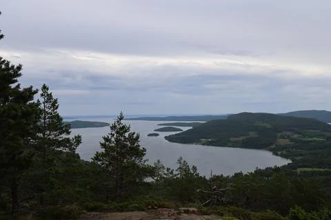 Panoramic summer view of forest and rugged coastline from the summit of Skule Stock Photos