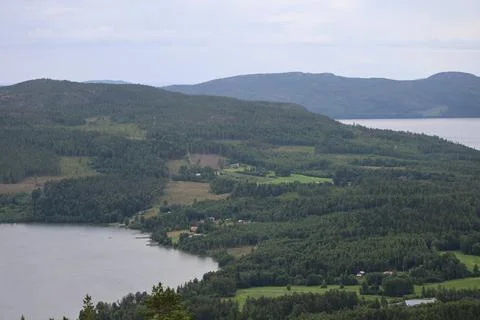 Panoramic summer view of forest and rugged coastline from the summit of Skule Stock Photos