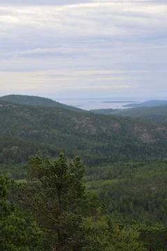 Panoramic summer view of forest and rugged coastline from the summit of Skule Stock Photos