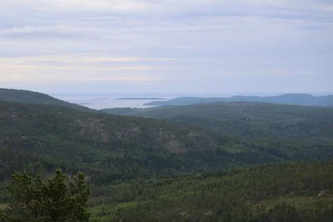 Panoramic summer view of forest and rugged coastline from the summit of Skule Stock Photos