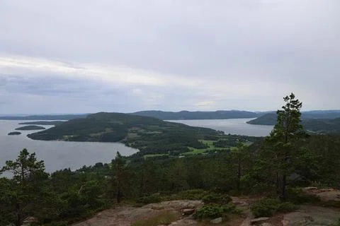 Panoramic summer view of forest and rugged coastline from the summit of Skule Stock Photos