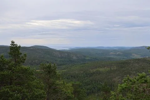 Panoramic summer view of forest and rugged coastline from the summit of Skule Stock Photos