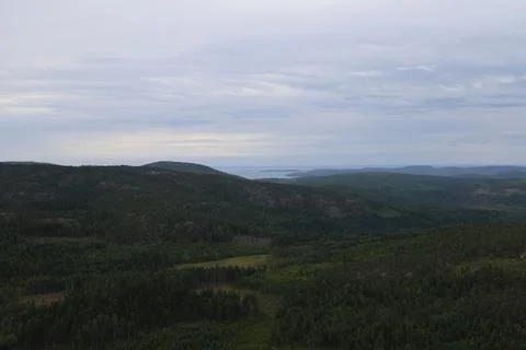 Panoramic summer view of forest and rugged coastline from the summit of Skule Stock Photos