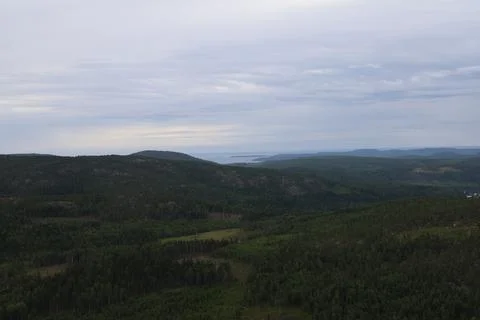 Panoramic summer view of forest and rugged coastline from the summit of Skule Stock Photos