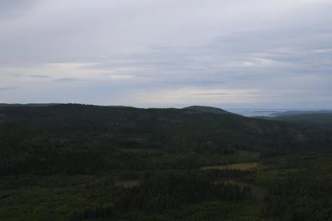 Panoramic summer view of forest and rugged coastline from the summit of Skule Stock Photos