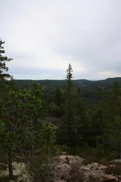Panoramic summer view of forest and rugged coastline from the summit of Skule Stock Photos