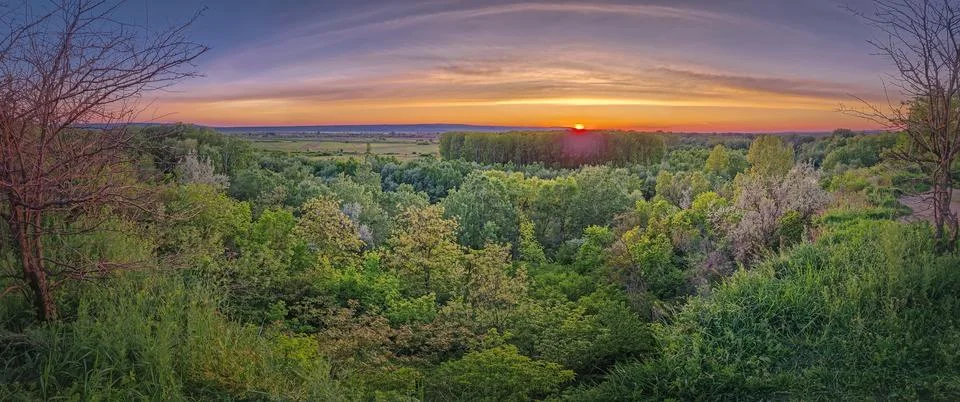 Panoramic summer view from the top of a hill above the green forest and the.. Stock Photos