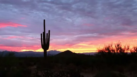 Panoramic Sunrise Time-lapse Footage With Cactus Silhouette In Arizona Stock Footage 344700066