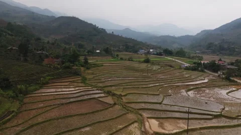 Panoramic sunset over Na Pheo rice fields and forest in Vietnam Stockbeeldmateriaal 331354581