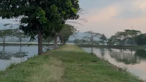 Panoramic sunset view over a peaceful lake with trees and reflection Видео 336454162