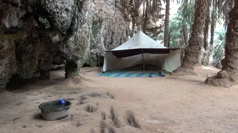 Panoramic on Terjit oasis: spring, tents and palm grove, Sahara, Mauritania Vídeo Stock 150195791