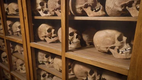 Panoramic tilt of human skull collection Stock Footage 336673778