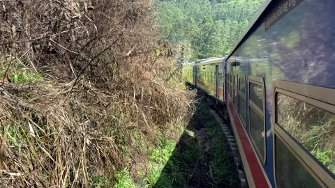 Panoramic Train Journey Through Tea Plantations in Sri Lanka Stock Footage 325224358