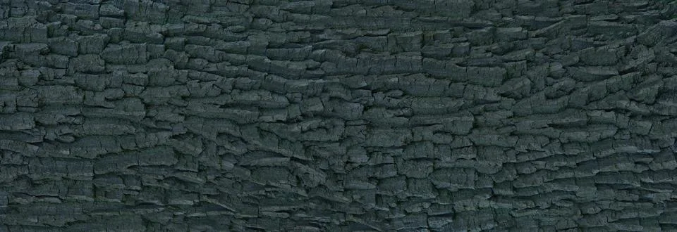 Panoramic tree bark pattern for background Stock Photos