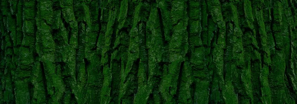 Panoramic tree bark pattern for background Stock Photos