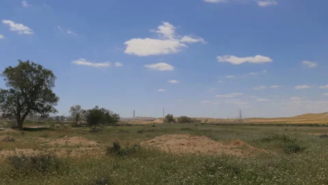 Panoramic from tree to hill in desert Stock Footage 92743395