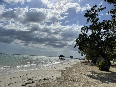 Panoramic Tropical Beach Stock Photos