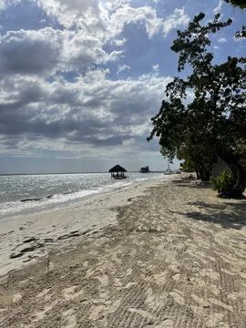 Panoramic Tropical Beach Stock Photos