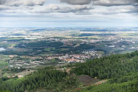 Panoramic valley framed by pine trees on mountain ridge Stock Photos