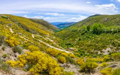 Panoramic of a valley with plants Stock Photos