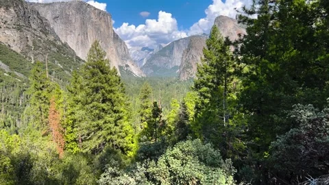 Panoramic valley view with granite cliffs and pine forest in Yosemite Villa.. Stockbeeldmateriaal 348149288