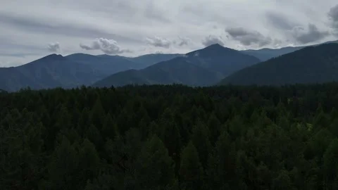 Panoramic video of the forest and mountain peaks Stock Footage 345184724
