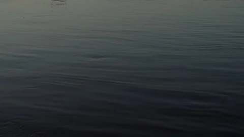 Panoramic video of river Dnipro, evening sunset Stock Footage 248058659