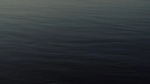 Panoramic video of river Dnipro, evening sunset Video stock 248059317