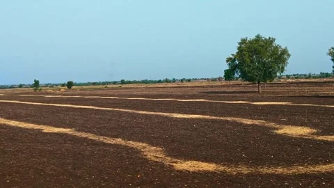 A panoramic video showcasing vast, tilled agricultural land under a clear b.. Stock Footage 341351882