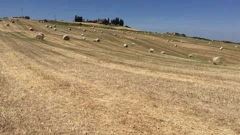 Panoramic view in 4k of a grain bales Stock Footage 80153405