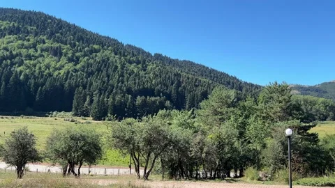 Panoramic View from Abant Camping Area Toward Lake and Mountains Stock Footage 345520046