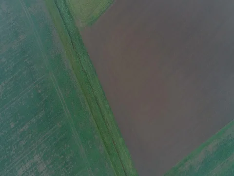 Panoramic View From Above On Meadows And Fields In Fog, European Nature Field Stock Footage 83062032