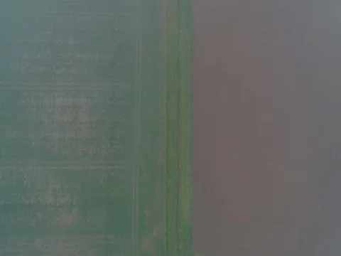 Panoramic View From Above On Meadows And Fields In Fog, European Nature Field Stock Footage 83062280