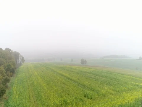 Panoramic View From Above On Meadows And Fields In Fog, European Nature Field Stock Footage 83062292