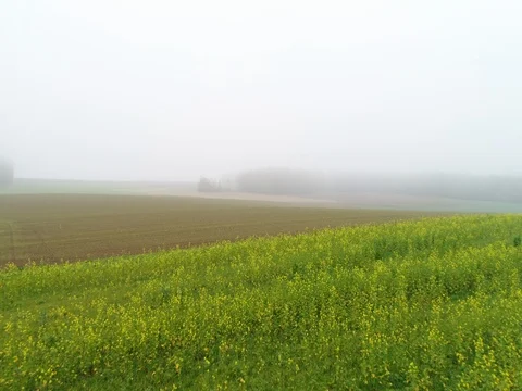 Panoramic View From Above On Meadows And Fields In Fog, European Nature Field Stock Footage 83062403