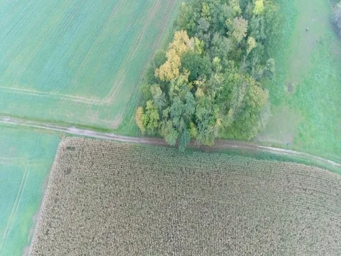 Panoramic View From Above On Meadows And Fields and forest Stock Footage 83063515
