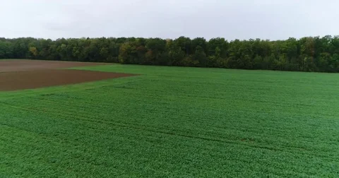 Panoramic View From Above On Meadows And Fields, European Nature Field Stock Footage 83065819