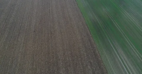 Panoramic View From Above On Meadows And Fields, European Nature Field Stock Footage 83065825
