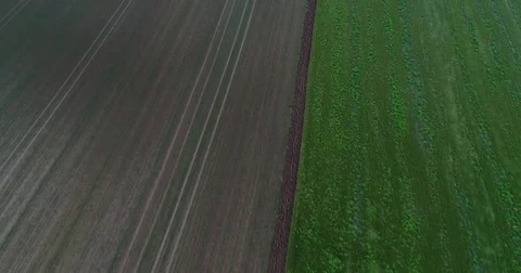 Panoramic View From Above On Meadows And Fields, European Nature Field Stock Footage 83066051