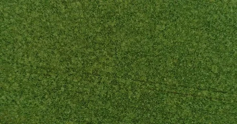 Panoramic View From Above On Meadows And Fields, European Nature Field Stock Footage 83066060