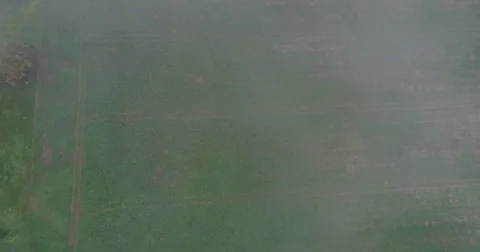 Panoramic View From Above On Meadows And Fields In Fog, European Nature Field Stock Footage 83102117