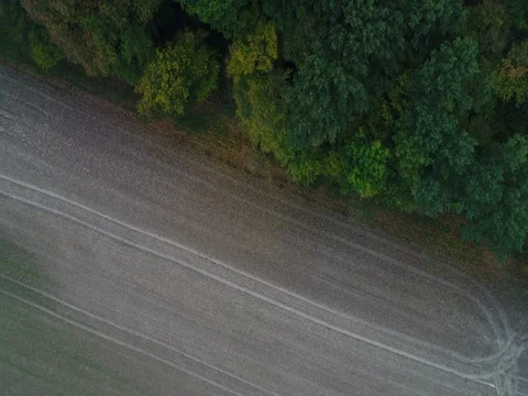 Panoramic View From Above On Meadows And Fields, European Nature Field Stock Footage 83104423