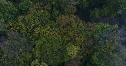 Panoramic View From Above On Meadows And Fields, European Nature Field Stock Footage 83104534