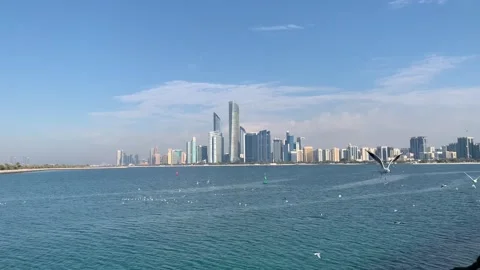 Panoramic view of Abu Dhabi city skyline. Flying seagulls. Abu Dhabi, UAE Stock Footage 298902354