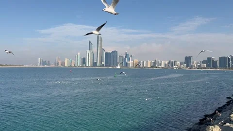 Panoramic view of Abu Dhabi city skyline. Flying seagulls. Abu Dhabi, UAE Stock Footage 309104738
