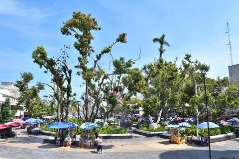 Panoramic view of the Acapulco main square six months after Hurricane Otis Stock Photos