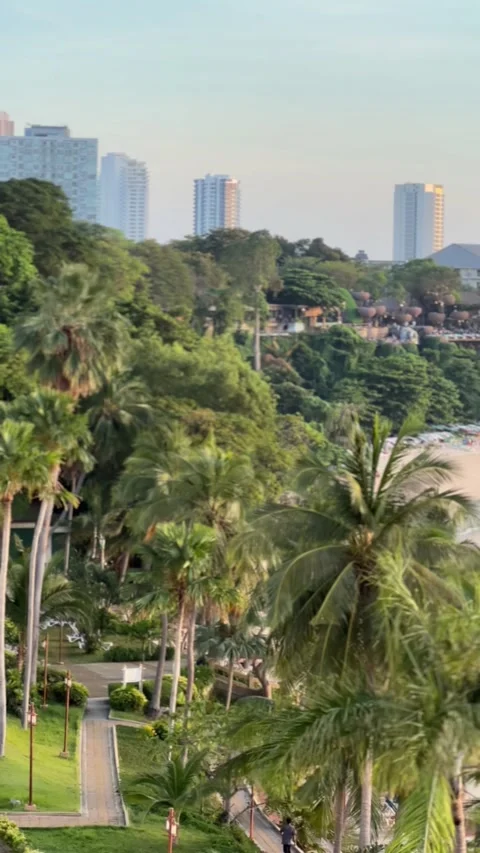 Panoramic view across the Royal Cliff Hotels Group resort area in South Pattaya Stock Footage 346249012