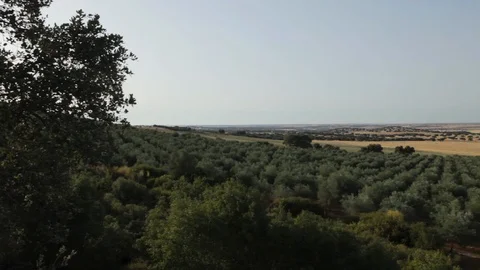Panoramic View of an Agricultural Field 스톡 동영상 108844347
