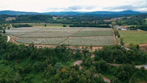 Panoramic view of agricultural fields with covered crops and forested hills 스톡 동영상 331161862